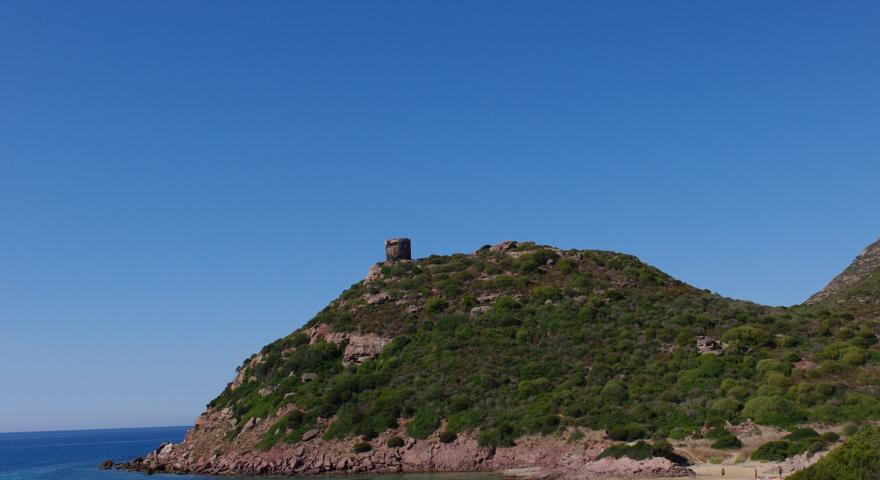 Torre Negra