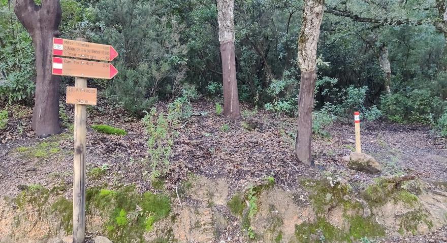 Is Antiogus, bivio Fanebas, SP 1