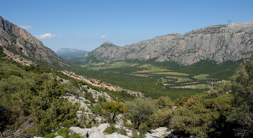 Valle di Lanaitho