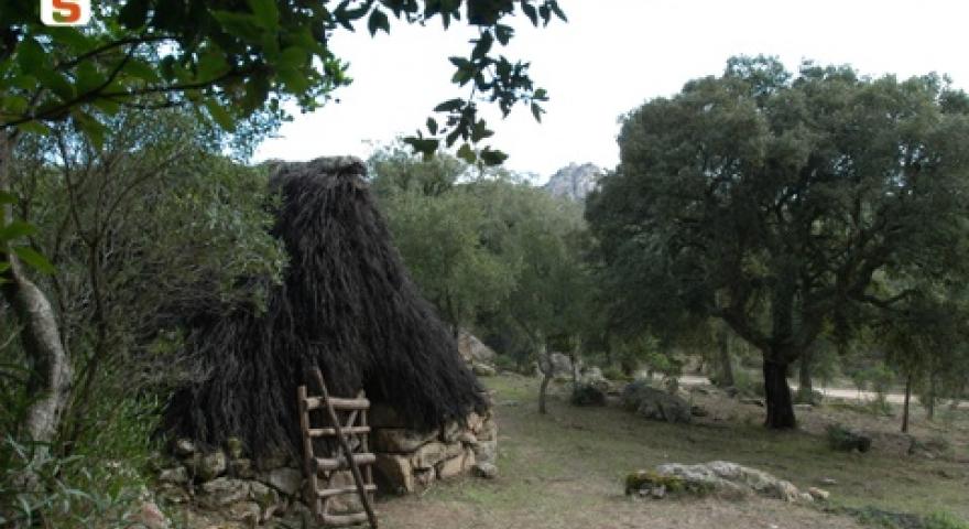 Oasi di Assai