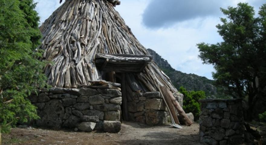 Barracu