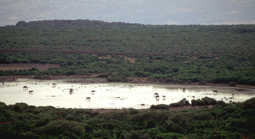 Scorcio giara Gesturi