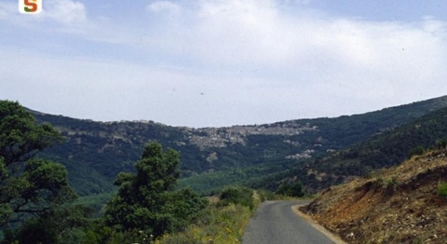 Sedilo panorama