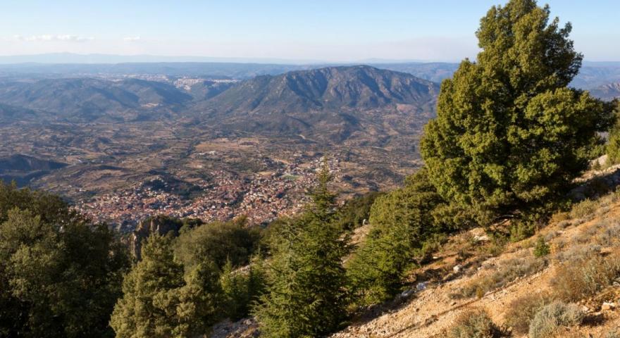 Oliena (SardegnaTurismo)