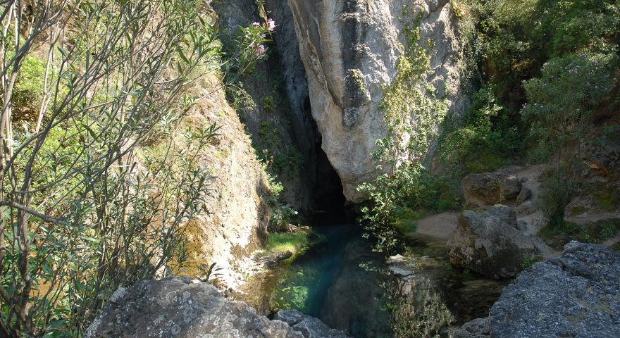 Su Gologone (la sorgente)