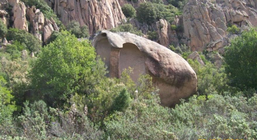 Talana Tafoni