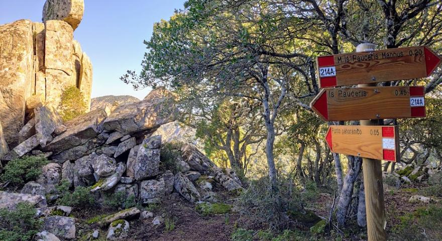 Sentiero 214A: ultima tappa in salita prima della vetta Sentiero 214A: ultima tappa in salita prima della vetta