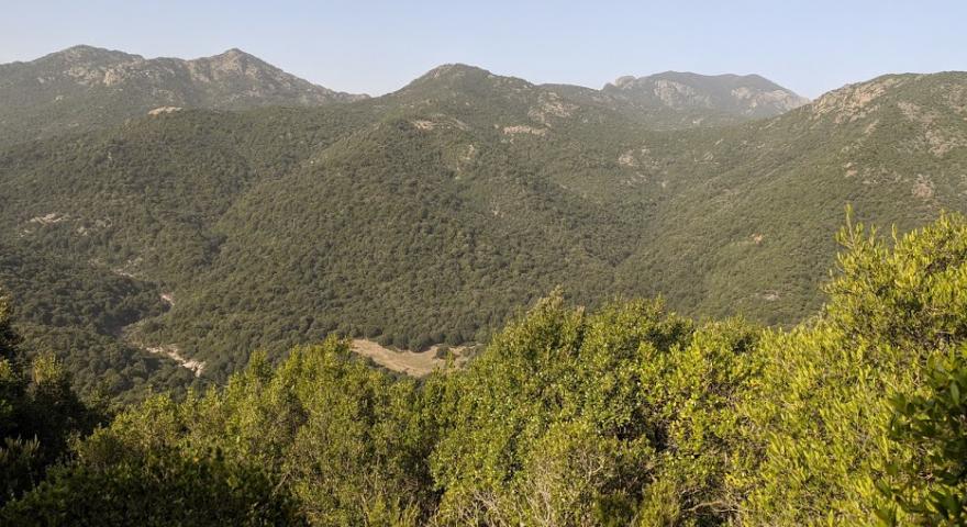 vista dall'alto radura Perdu Melis