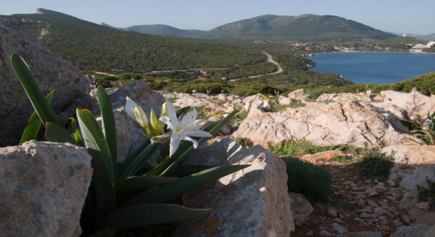 Vista di Porto Conte
