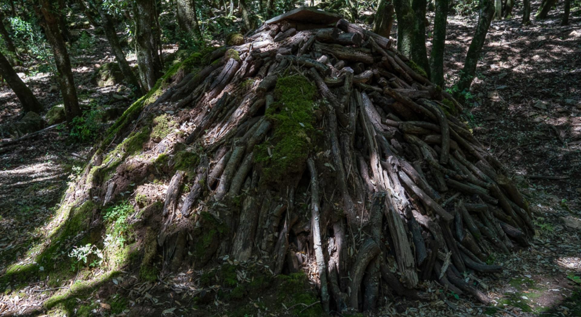 (32oA, 322 - arrivo) La carbonaia nel bosco.jpg