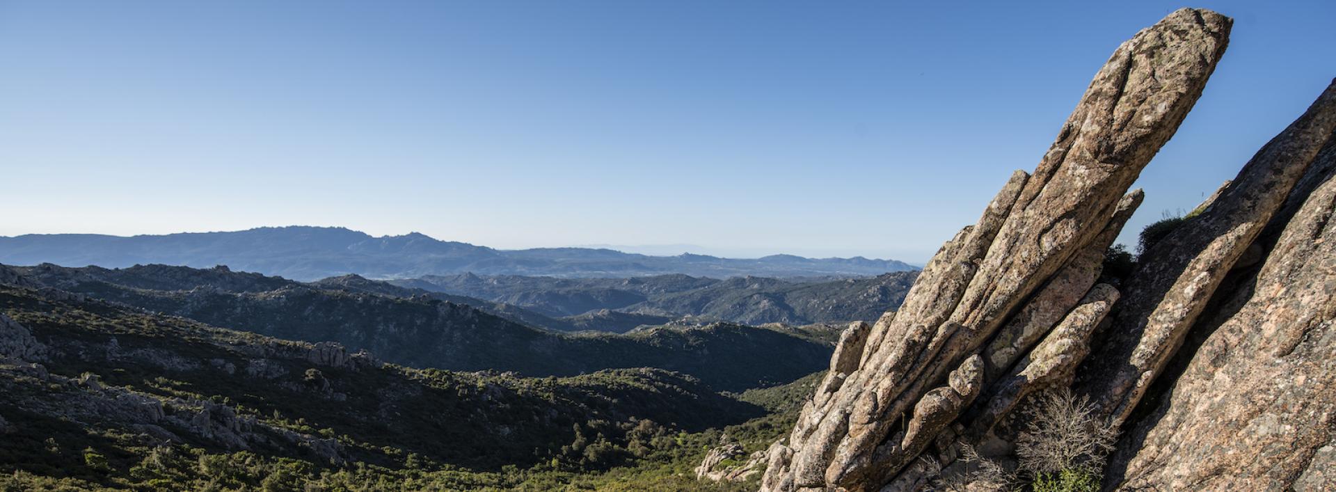 Salendo nella macchia a Sos Nurattolos sotto la Punta di Senalonga. In lontananza il gruppo del Limbara.