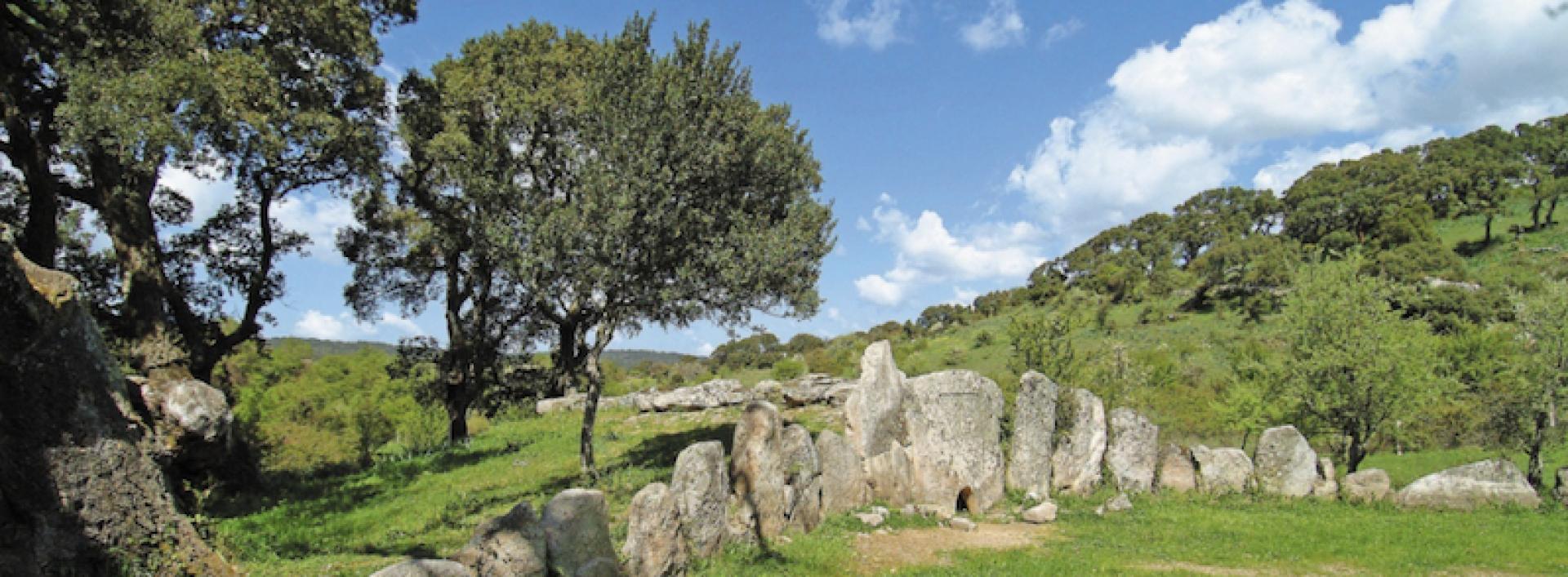 La tomba dei giganti Pascaredda nel comune di Palangianus