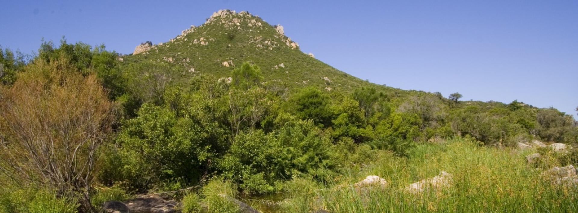 Bitti, parco naturalistico di Tepilora