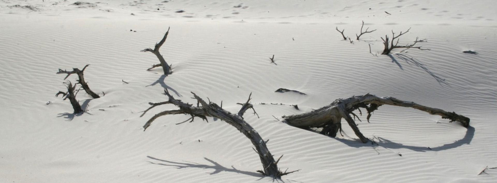 Le dune di Porto Pino