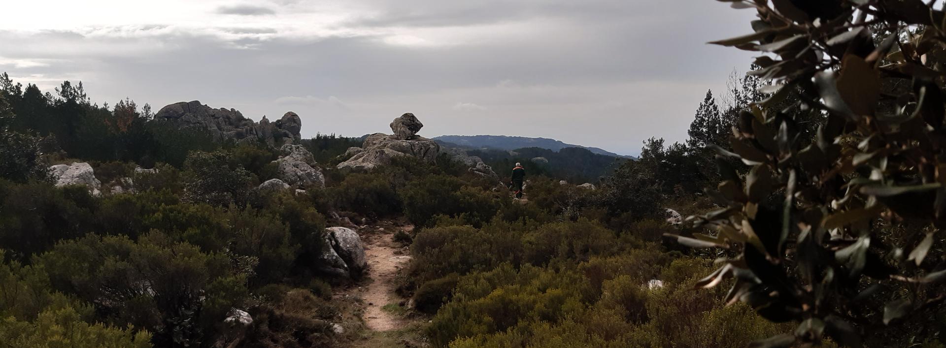 Monte Limbara - sentiero 406