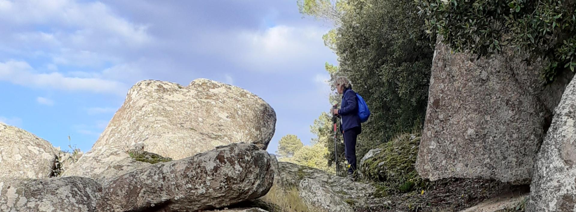 Monte Limbara - sentiero 406