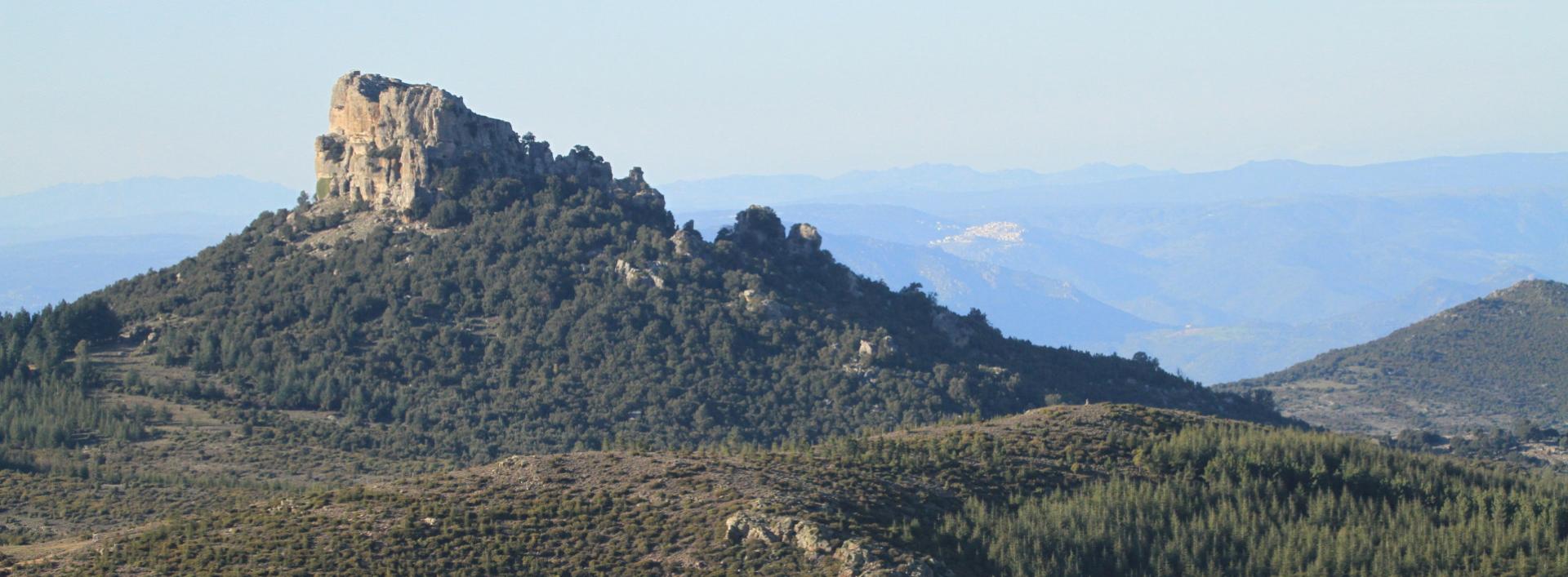 Monte Novo San Giovanni, visto da Talana
