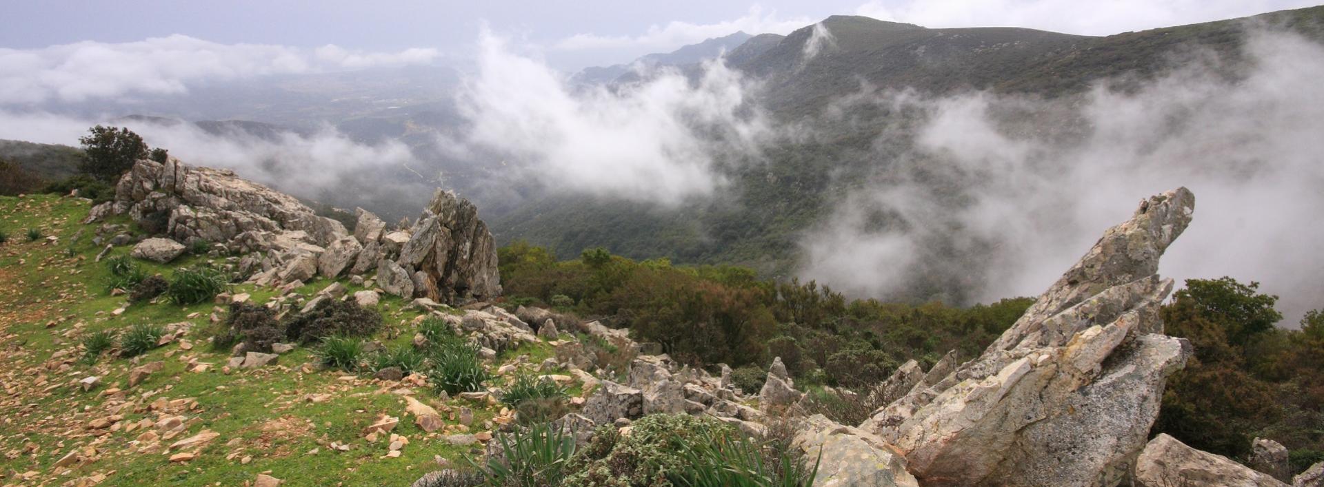 Panorama dal sentiero per la vetta di Monte Minniminni