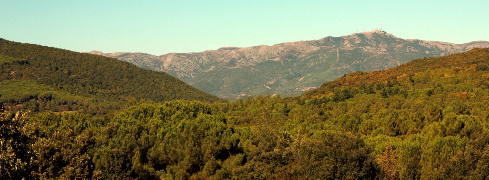 Panorama verso Serpeddì