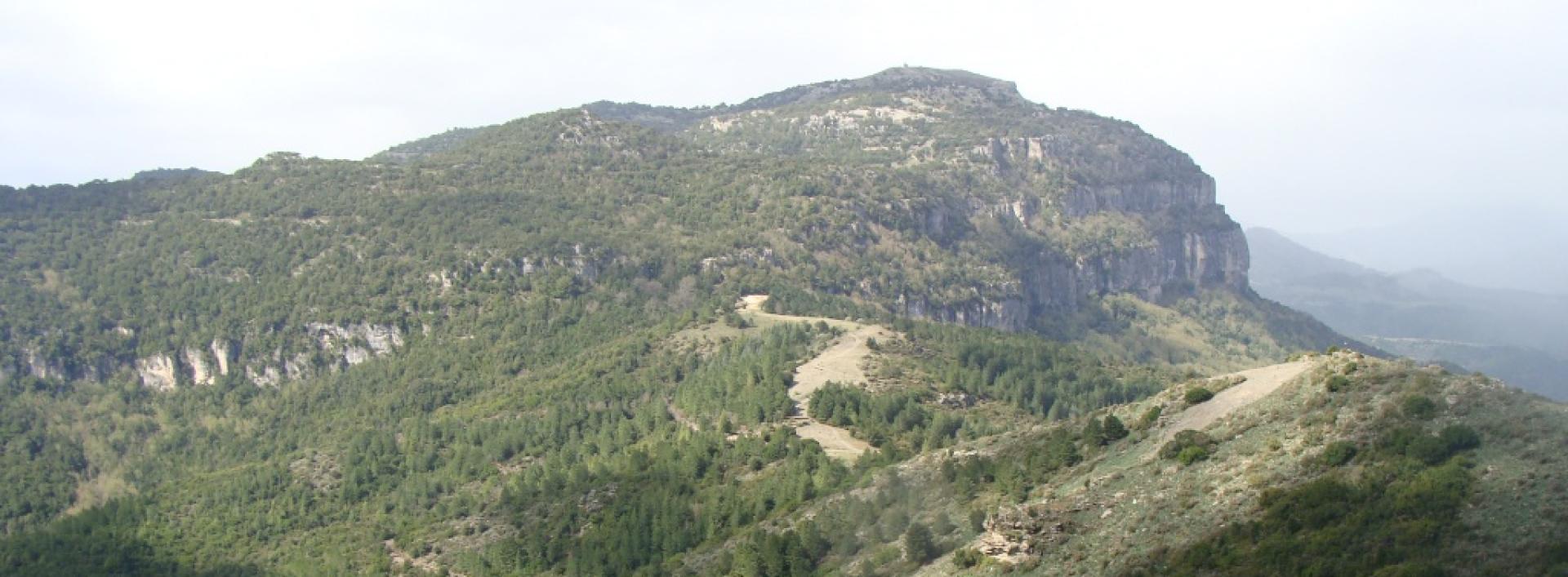 Vista di Montarbu da Perda Liana