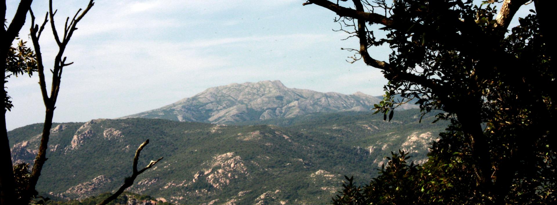 Panorama verso il massiccio del Monte Linas da Marganai