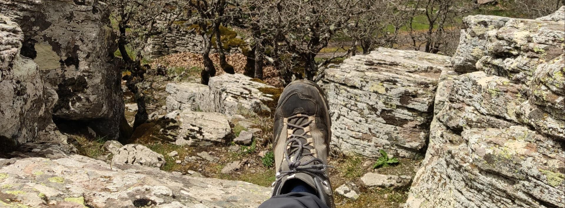 scarpa da trekking