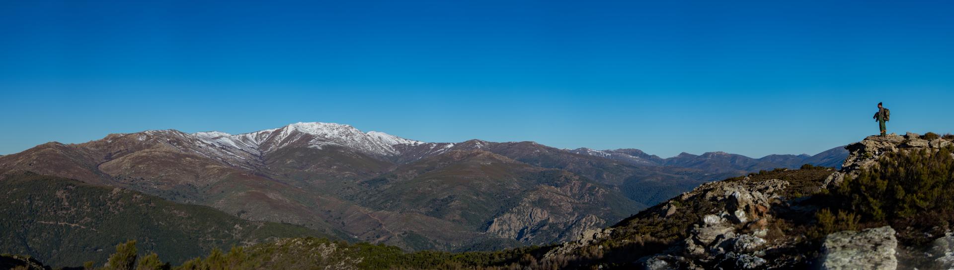 panorama forestale montano