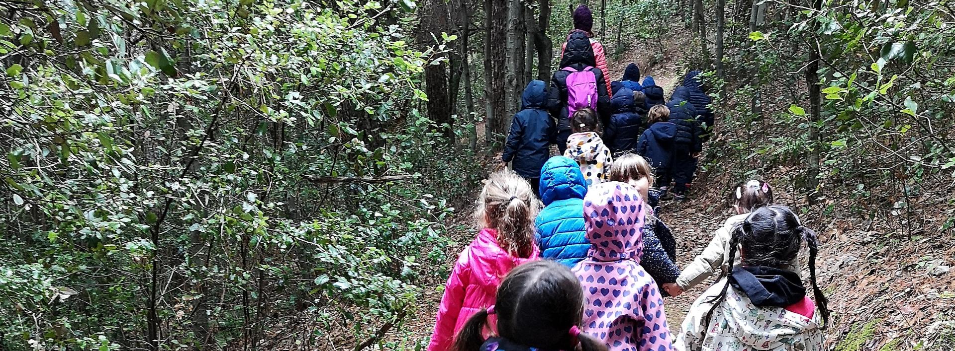 Passeggiata lungo il bosco nei sentieri di Perd'e Pibera