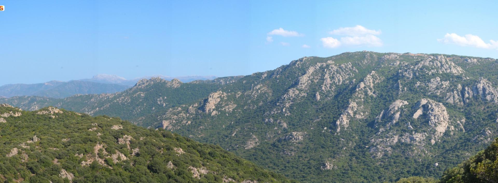 Foresta di Sos Littos, panoramica di Monte Piatteri