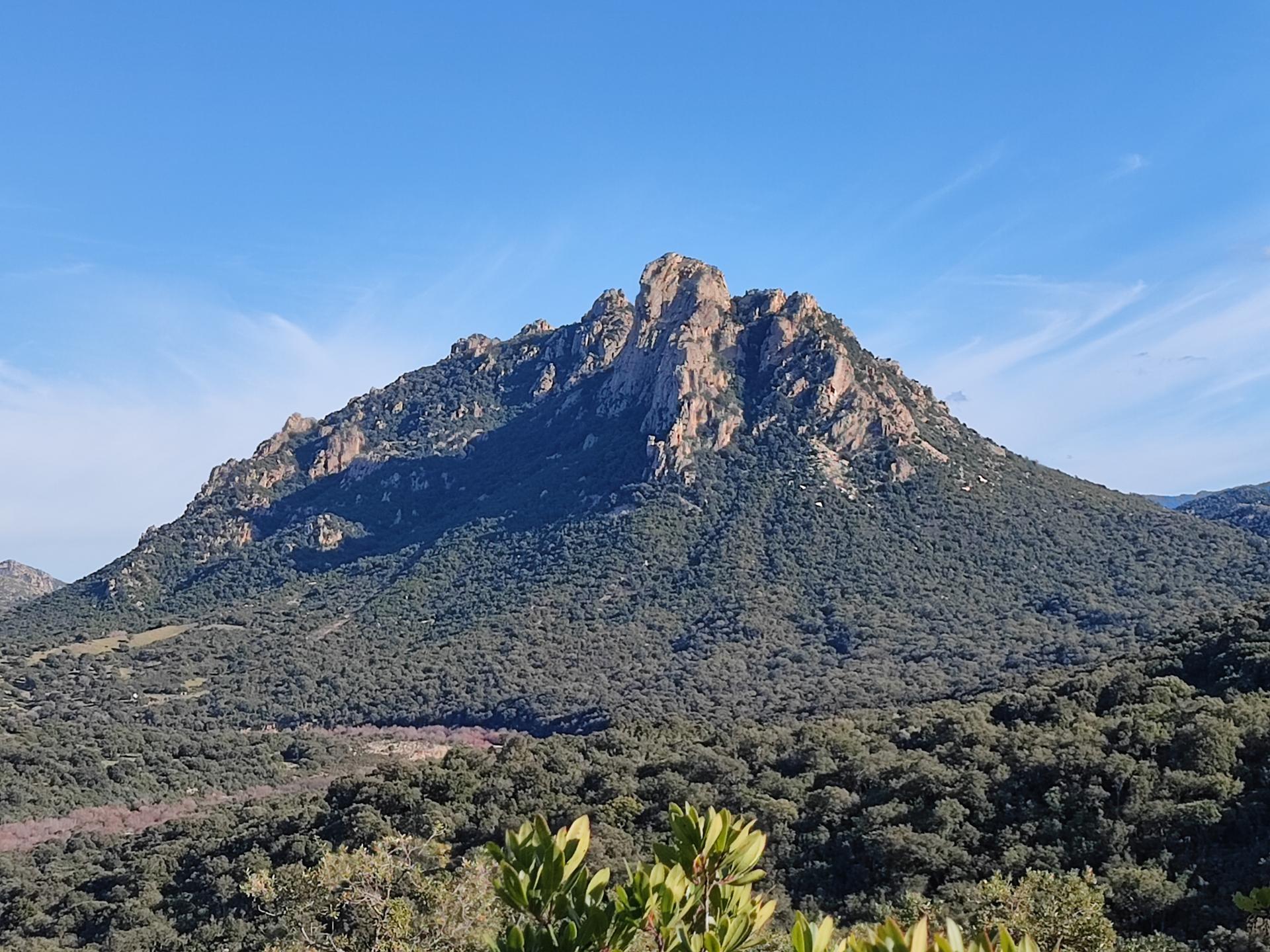 primo piano del monte Tepilora dal 220