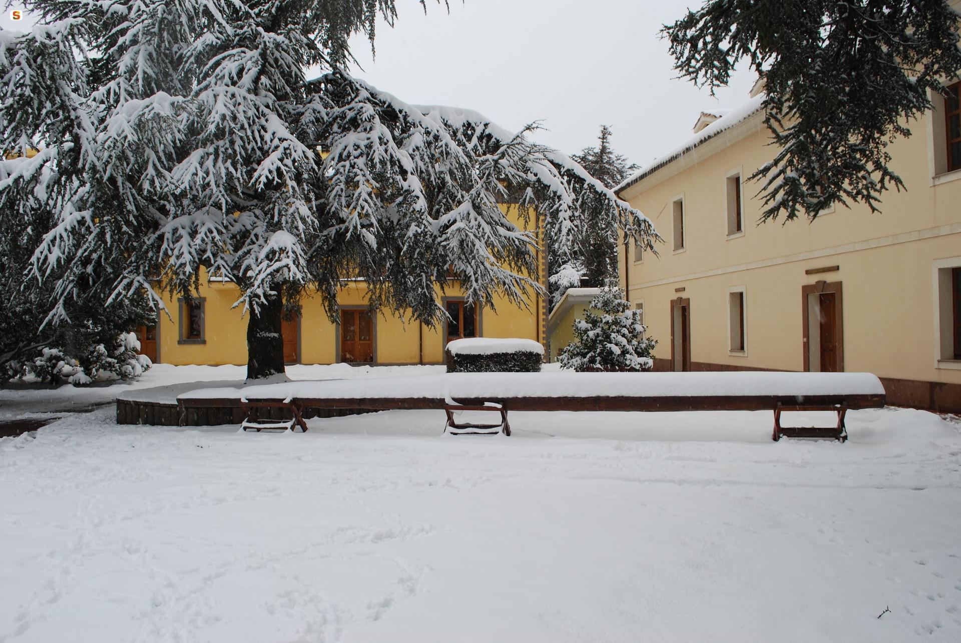 Cedro innevato a Monte Pisanu