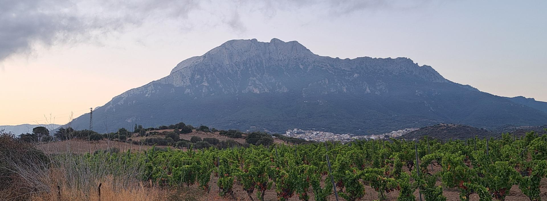 Oliena con dietro il monte Corrasi