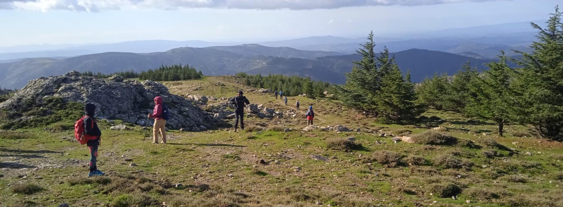Aritzo. Punta 'e Funtana Cungiada