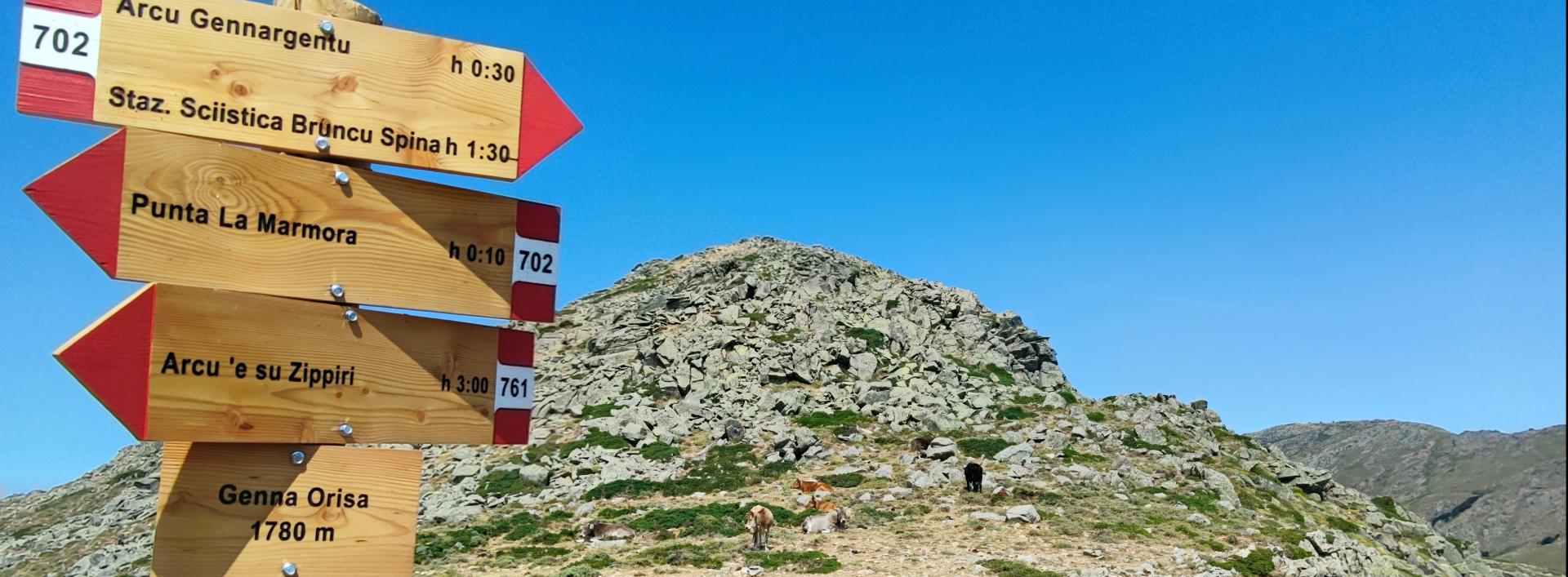 Crocevia di Genna Orisa (Erisi)