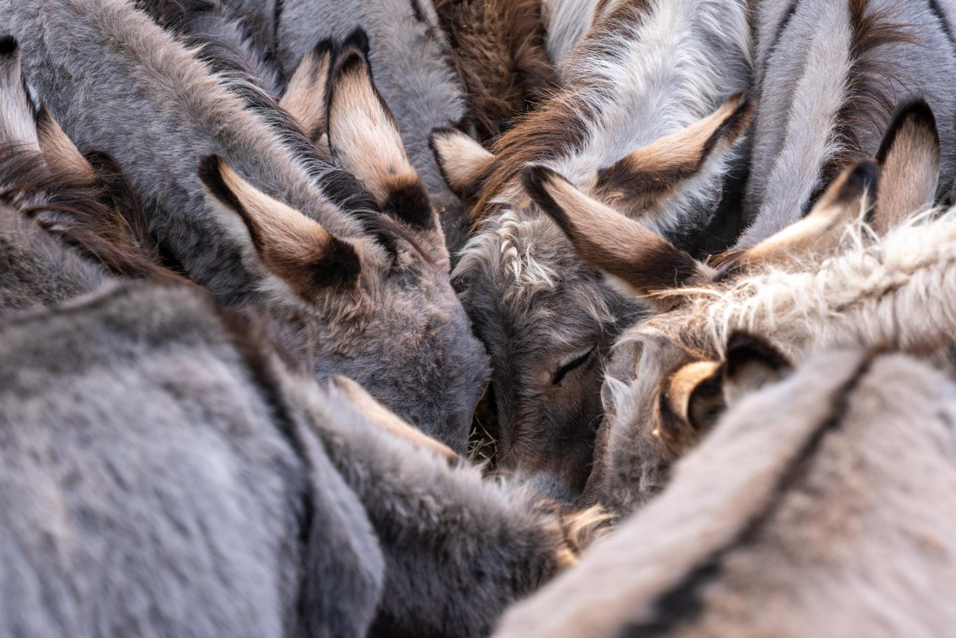 Lungo il sentiero T 509 - Ortueri