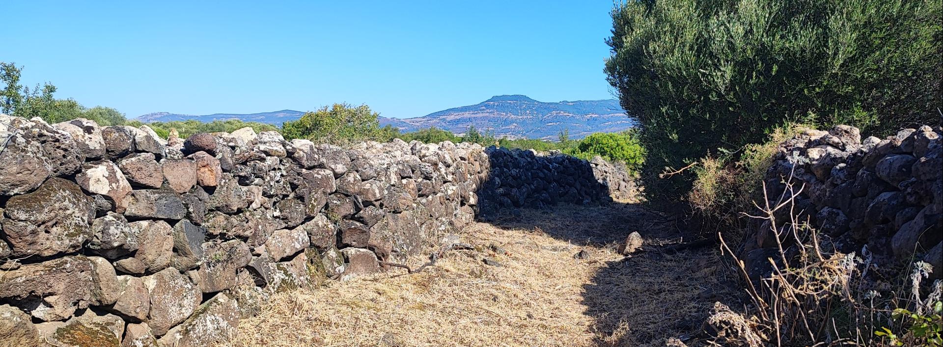 Panorama verso il Marghine