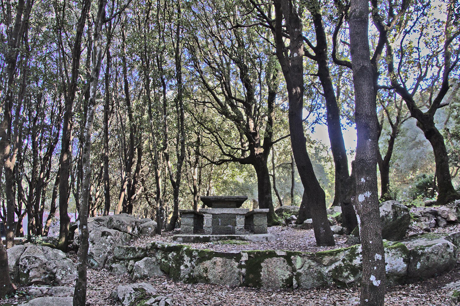 Parco Carmine Elini