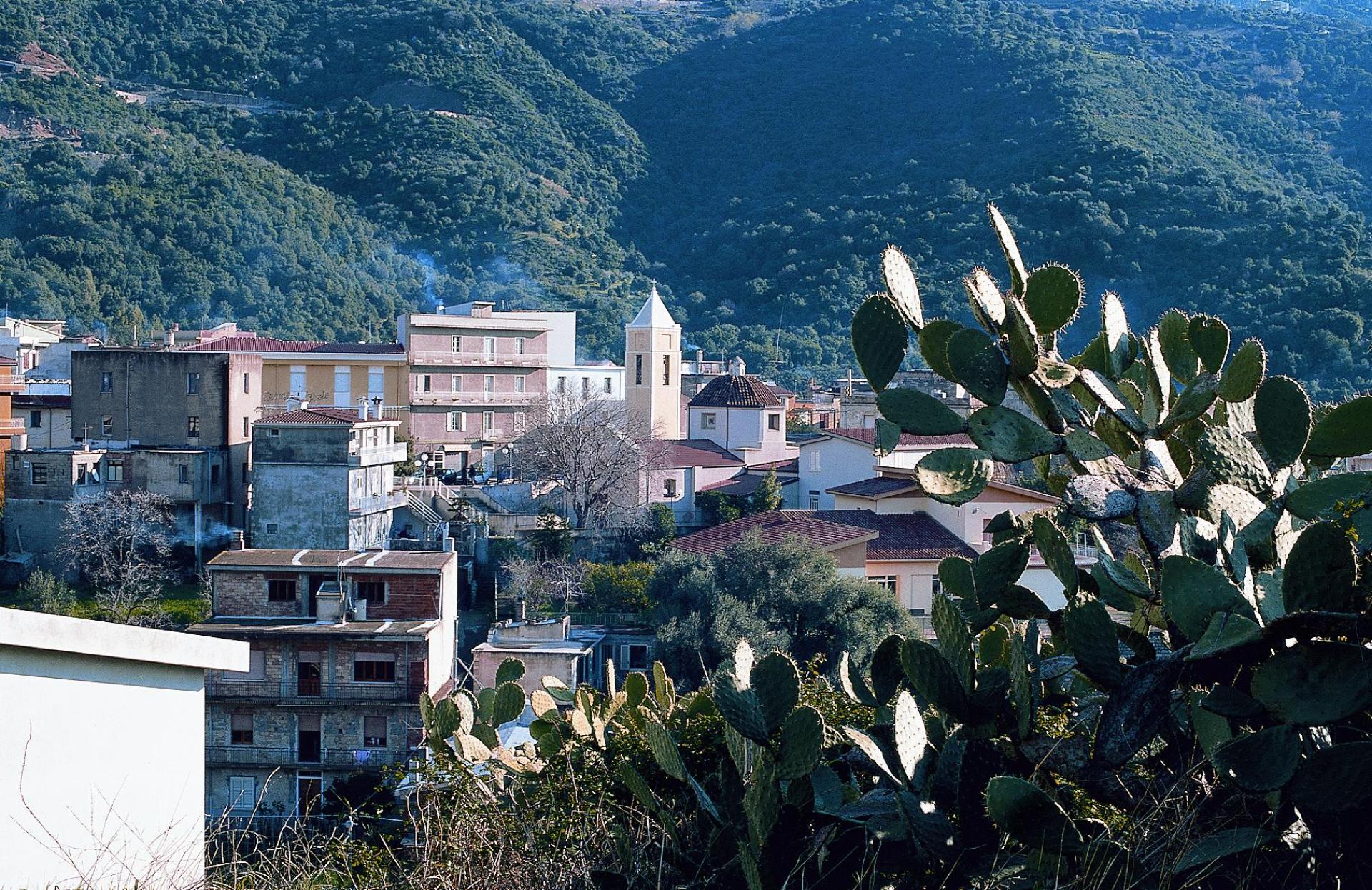 Triei