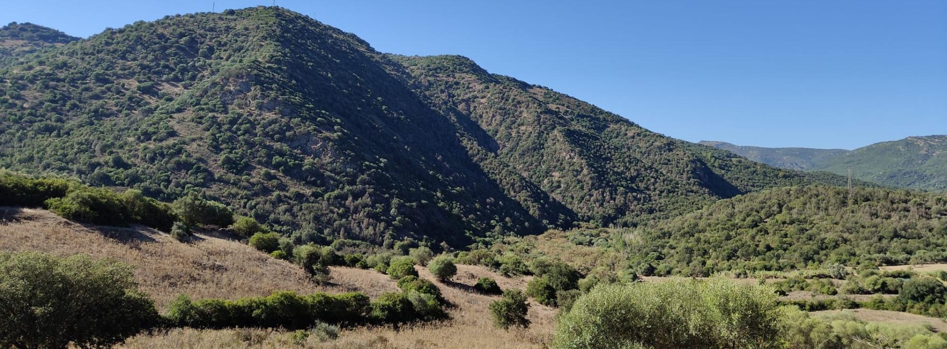 Panorama lungo il sentiero 410 - Armungia