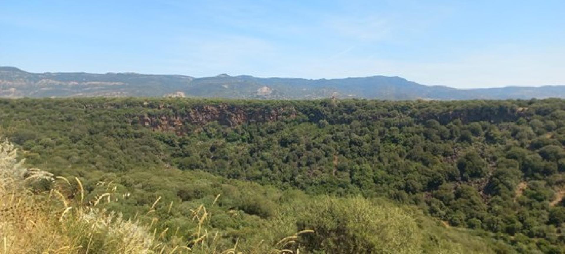 Roccas de Merches enturzos