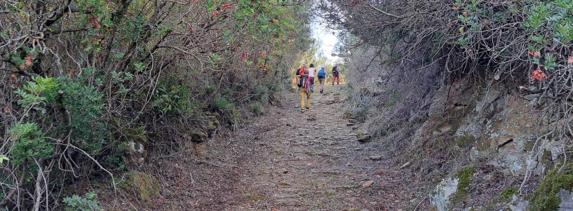 Un tratto del selciato nei pressi di Armungia, sentiero 410