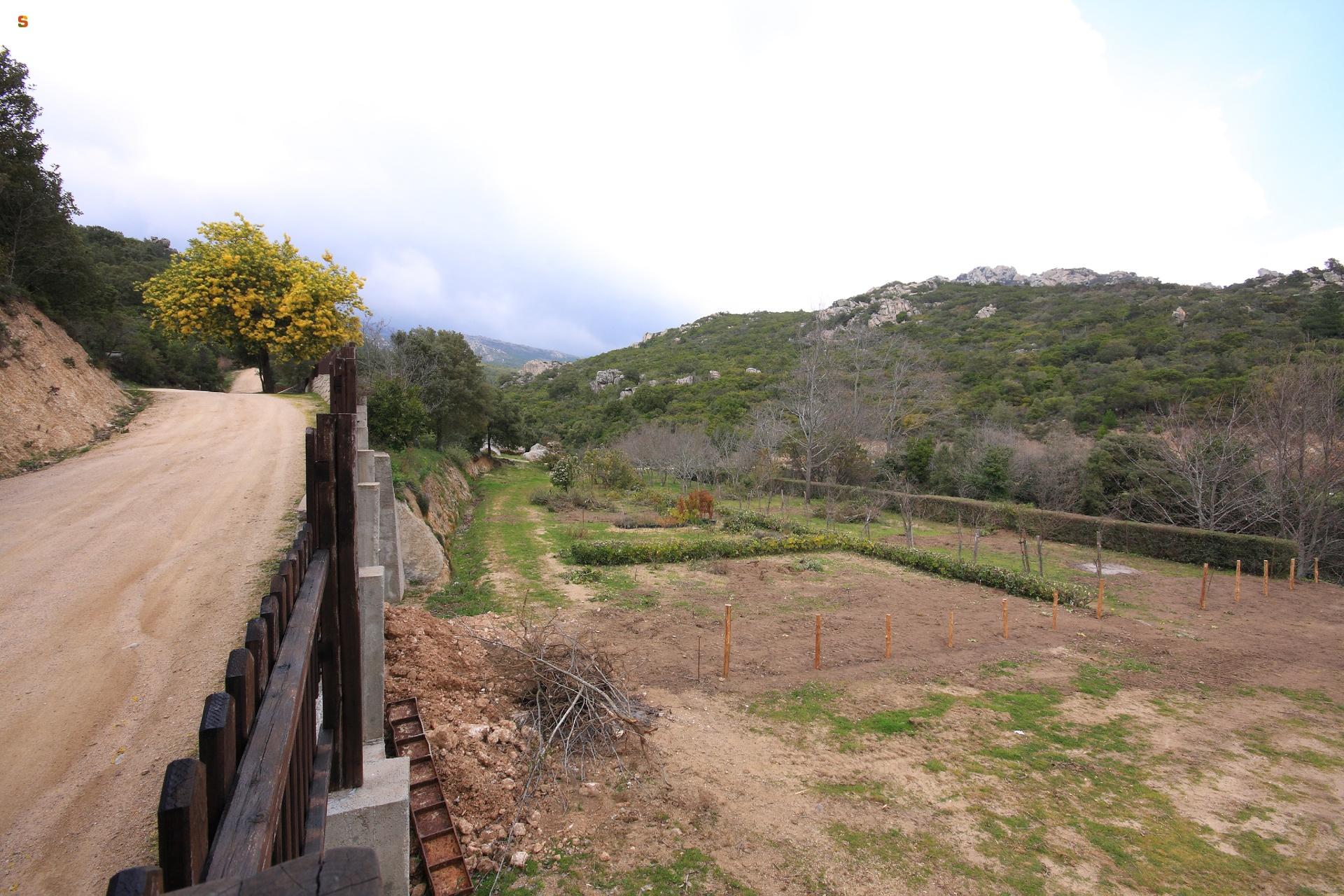 GIARDINO DELLE FARFALLE