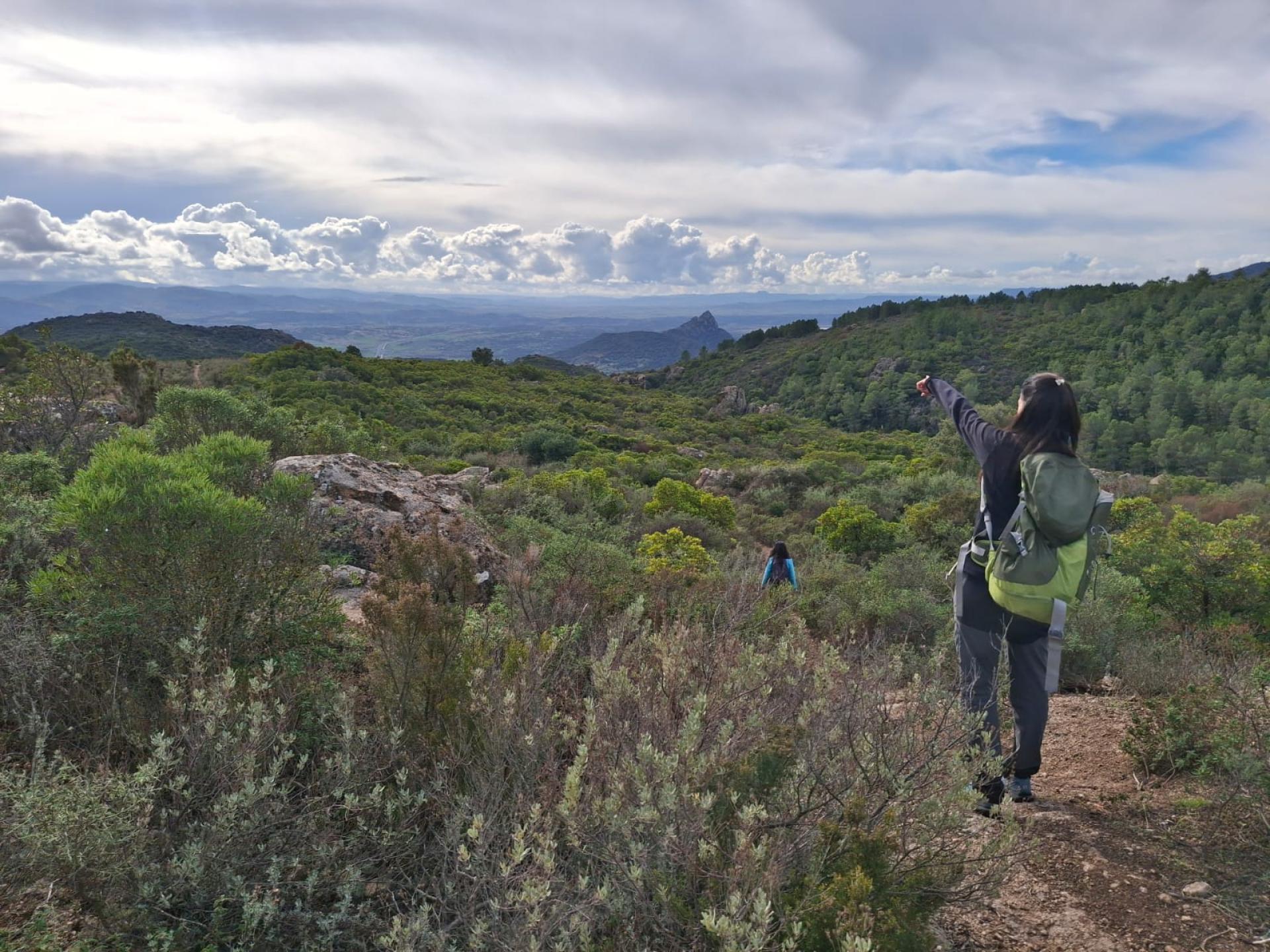 Percorso breve B proposto per Boschi Aperti 2025 intorno al Limbara sud