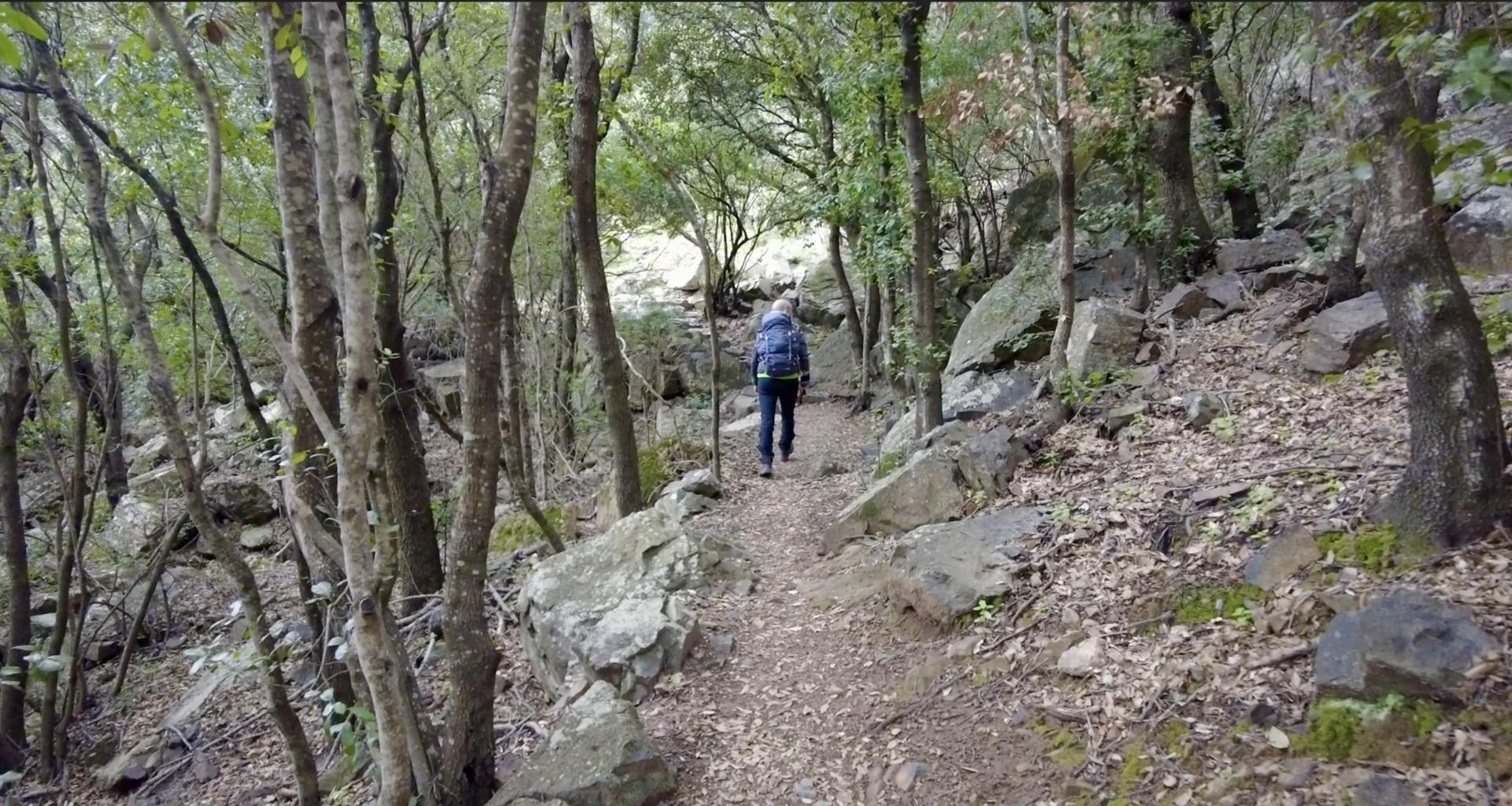 Trekking Perda Stampada