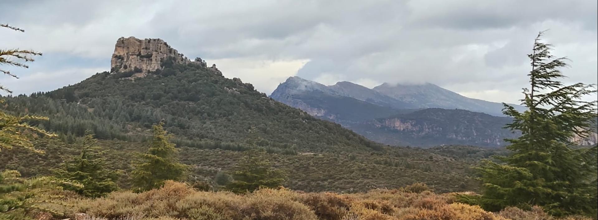 Monte Novo S. Giovanni visto dall'itinerario lungo - Montes, Orgosolo