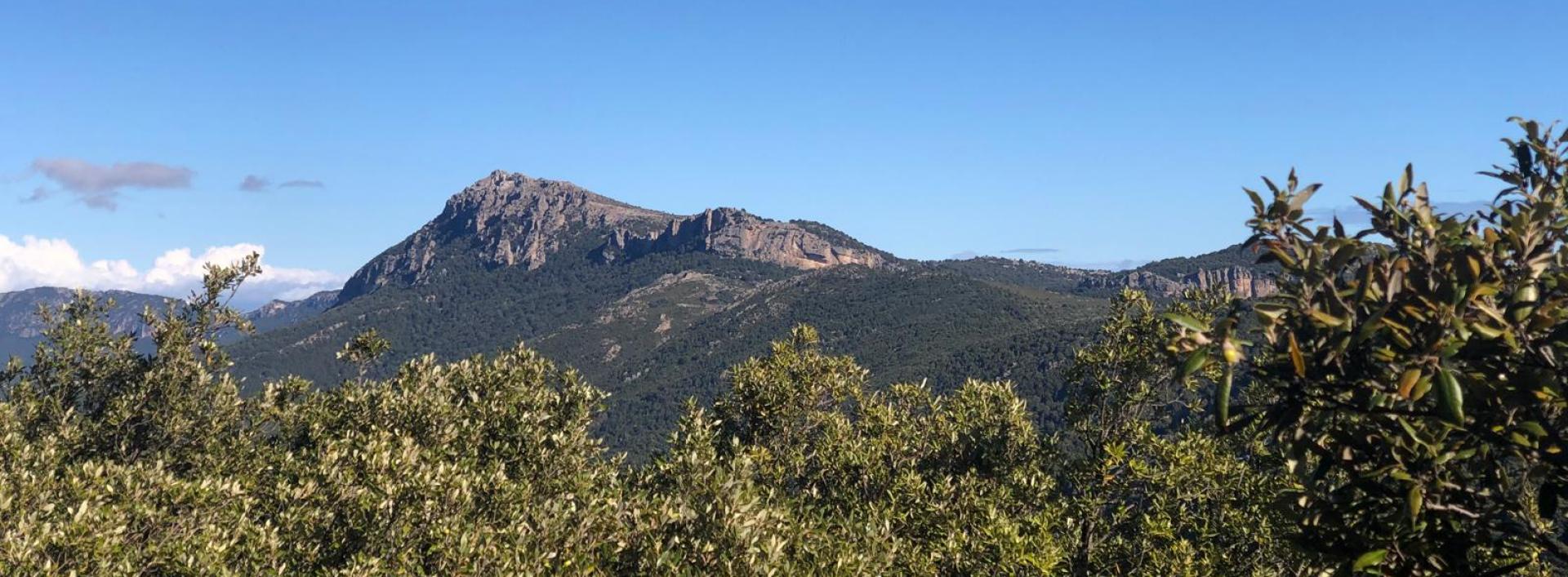 Panorama visto dall'itinerario medio B - Montes, Orgosolo