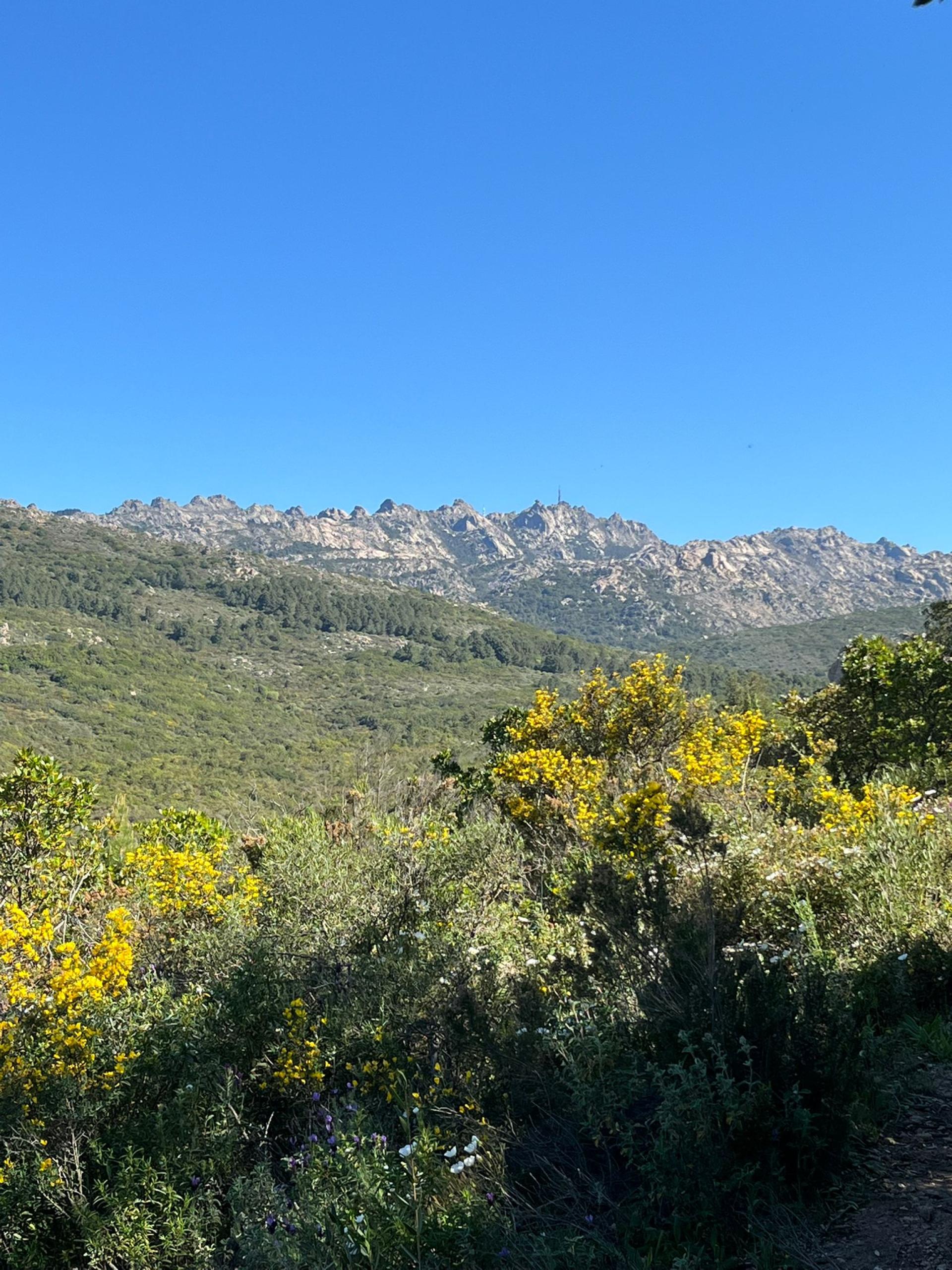 percorso lungo Limbara Sud - Boschi aperti 2025