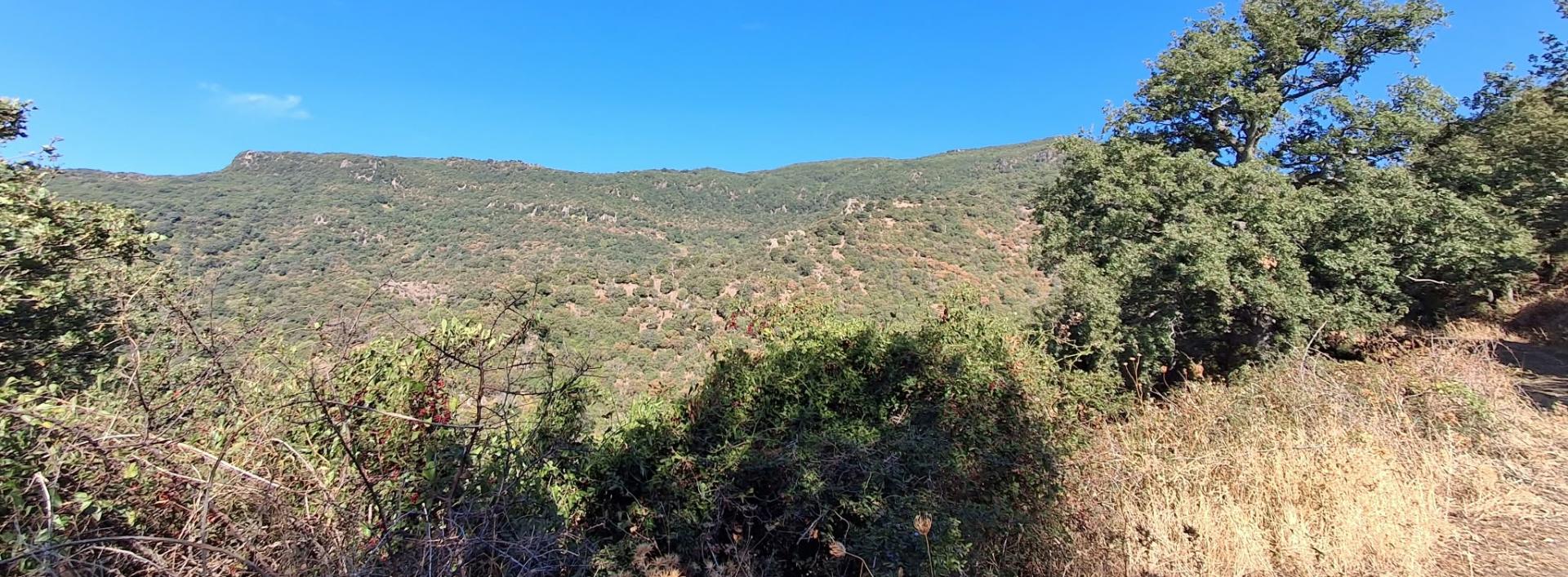 Vista da un tratto del sentiero G648
