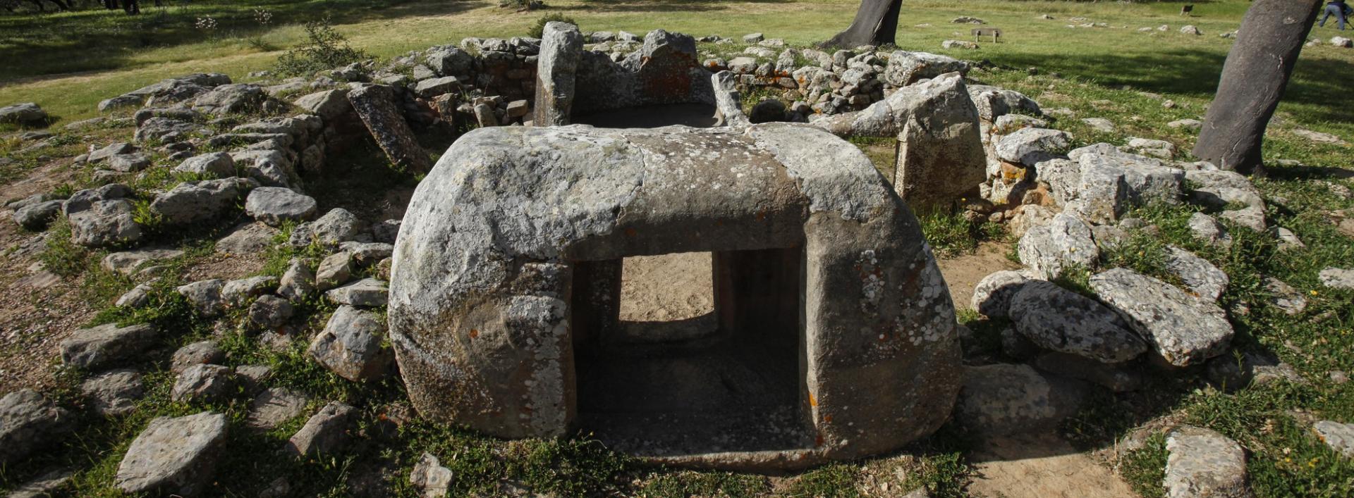 Area archeologica, Pranu Muttedu - Goni
