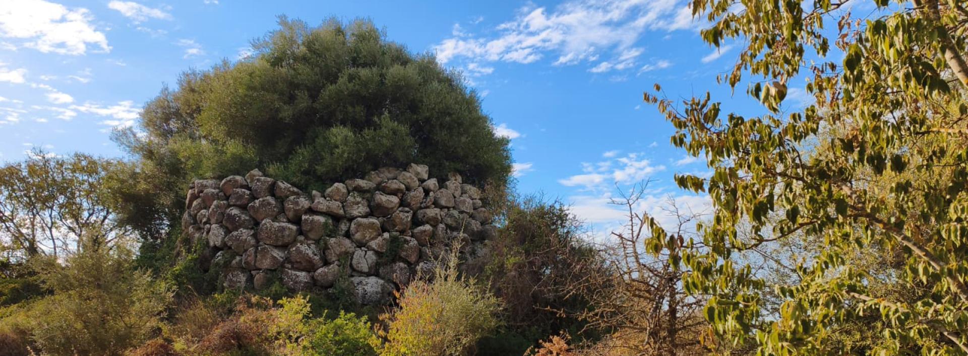 Nuraghe Muschiu, Bonarcado